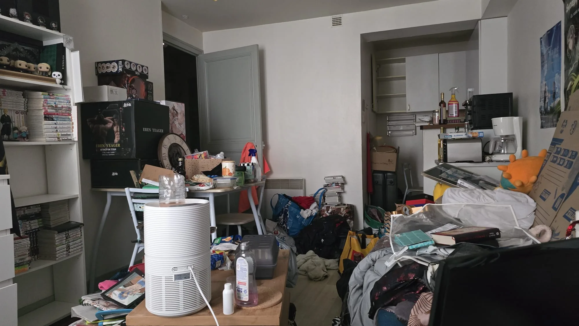 Comment expliquer que le nettoyage n’est qu’une partie de la solution dans un cas de Diogène : le rôle de SOS DC à Paris et dans ses environs