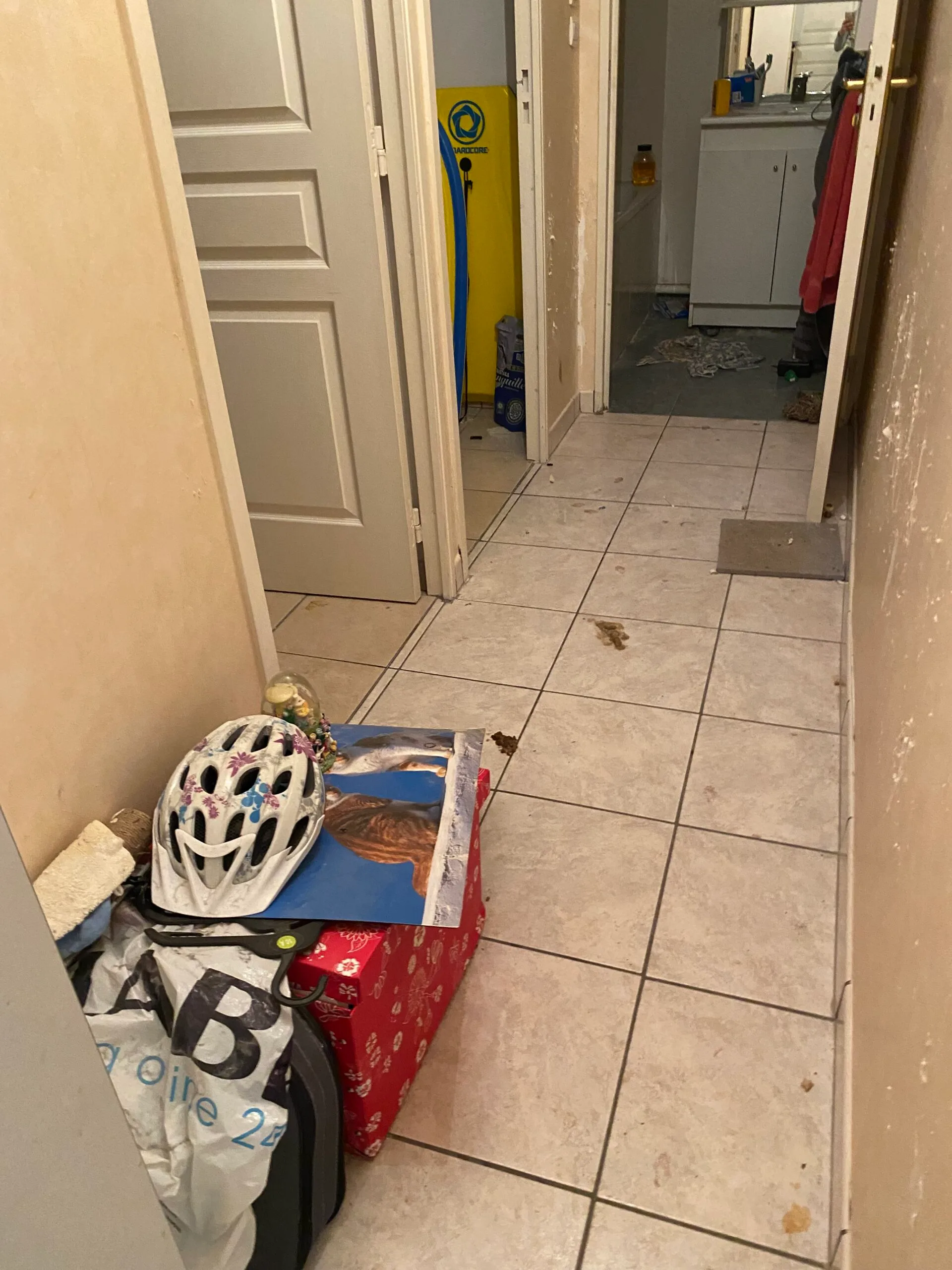 Que faire si l’intervention révèle un problème de santé mentale plus lourd que prévu ? Le rôle de SOS DC à Paris et ses environs Que faire si l’intervention révèle un problème de santé mentale plus lourd que prévu ? Le rôle de SOS DC à Paris et ses environs